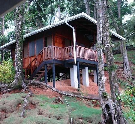 Villa Cabinas La Parcela à Dominical Extérieur photo