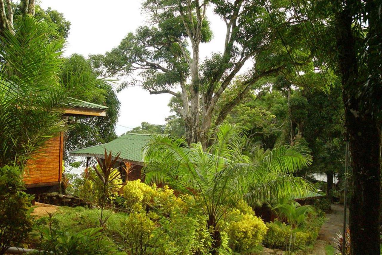 Villa Cabinas La Parcela à Dominical Extérieur photo