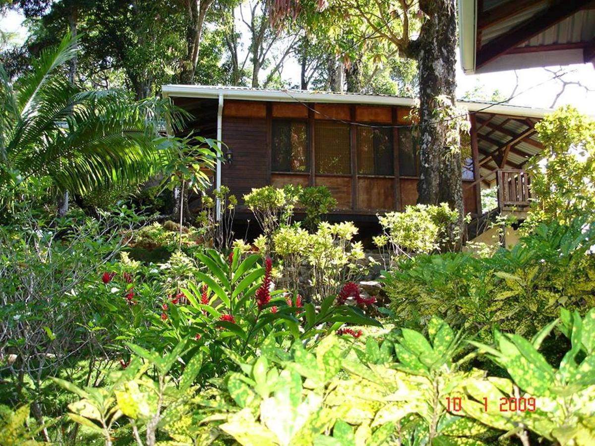 Villa Cabinas La Parcela à Dominical Extérieur photo
