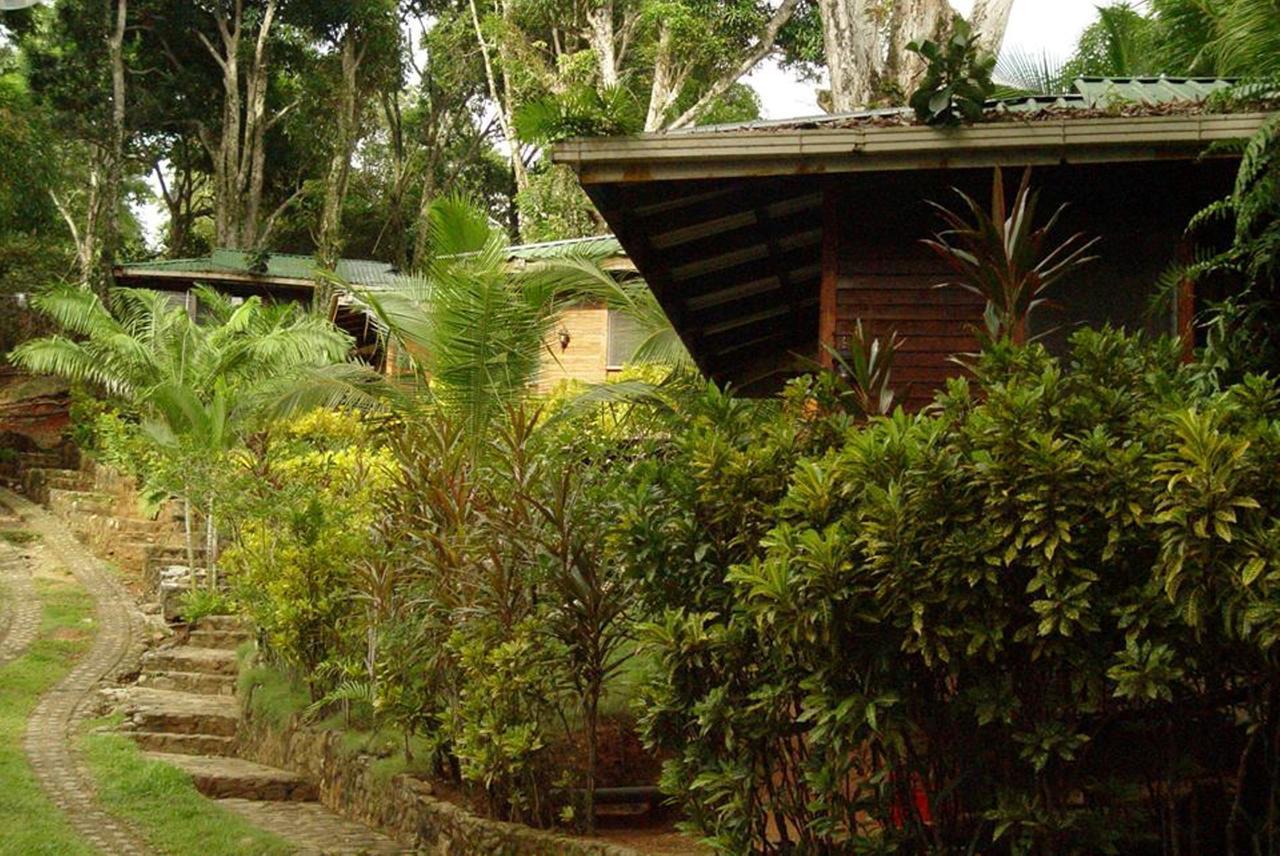 Villa Cabinas La Parcela à Dominical Extérieur photo